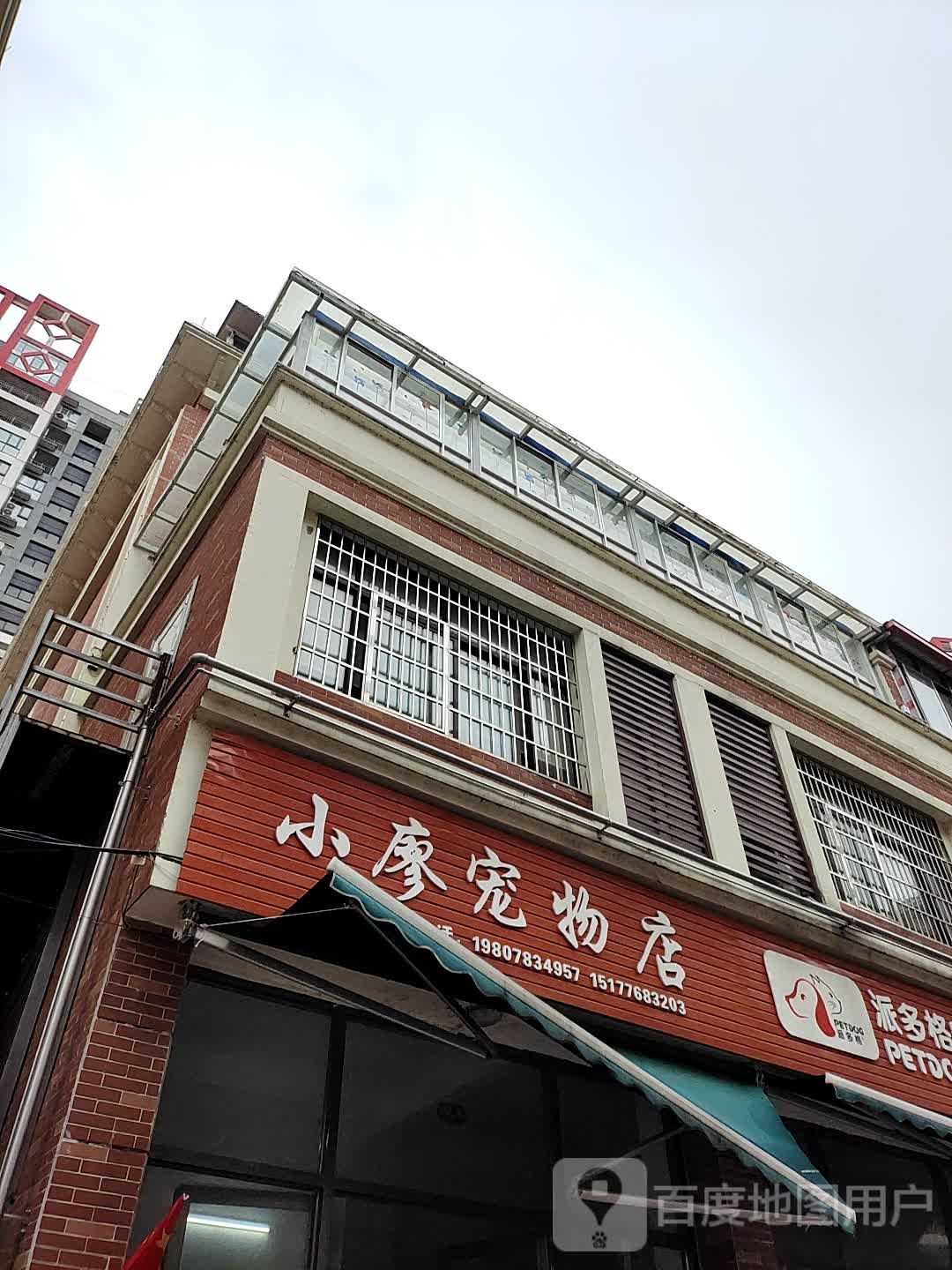 小廖萌宠物店(派多格宠物全国连锁店)