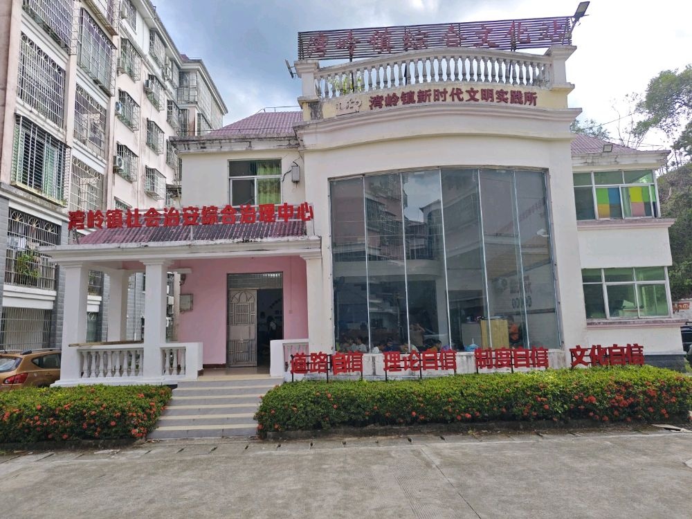 湾岭镇社会治安综合治理中心