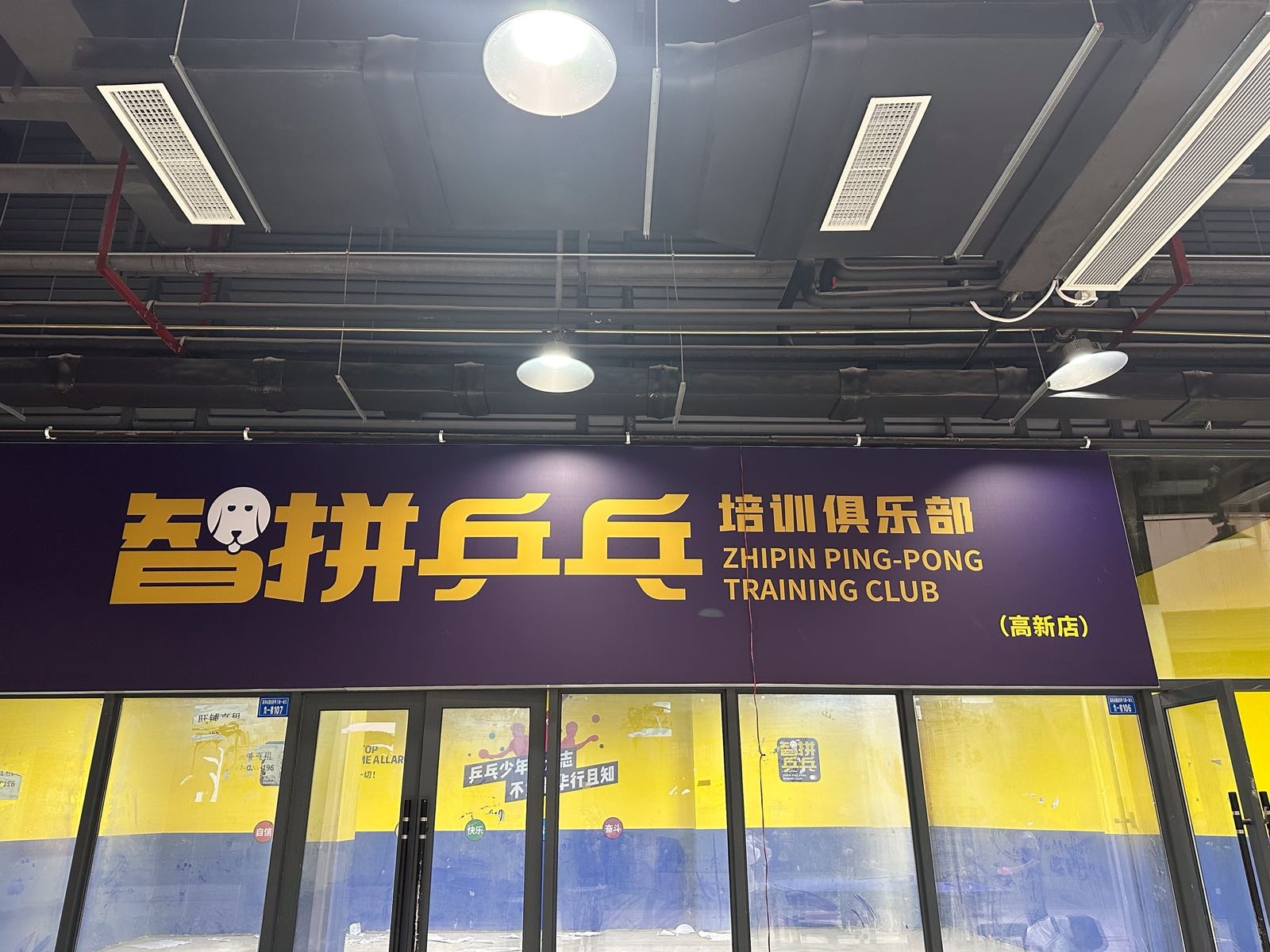 智拼乒乓(高新店)