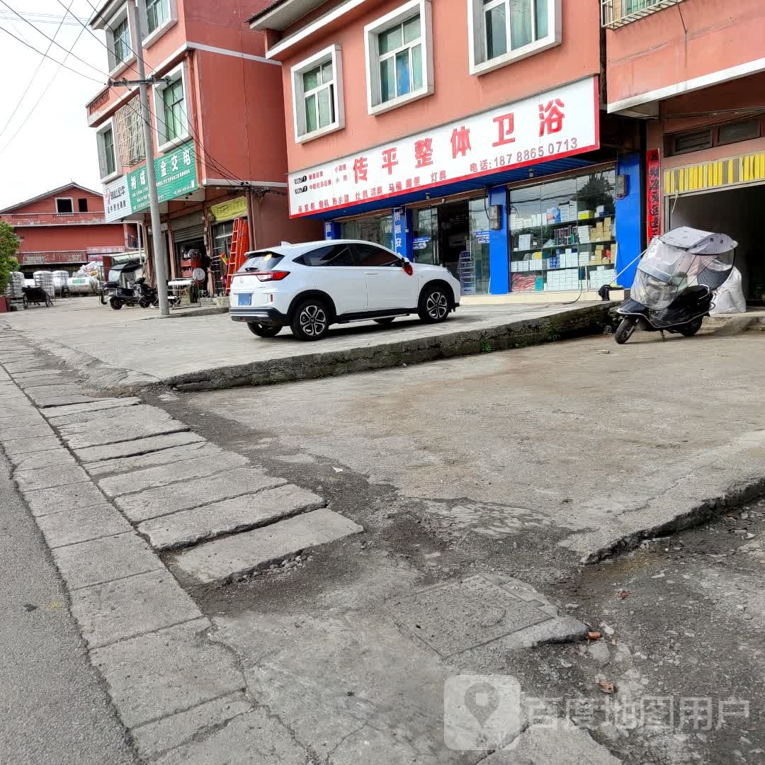 传平整体卫浴(X005店)