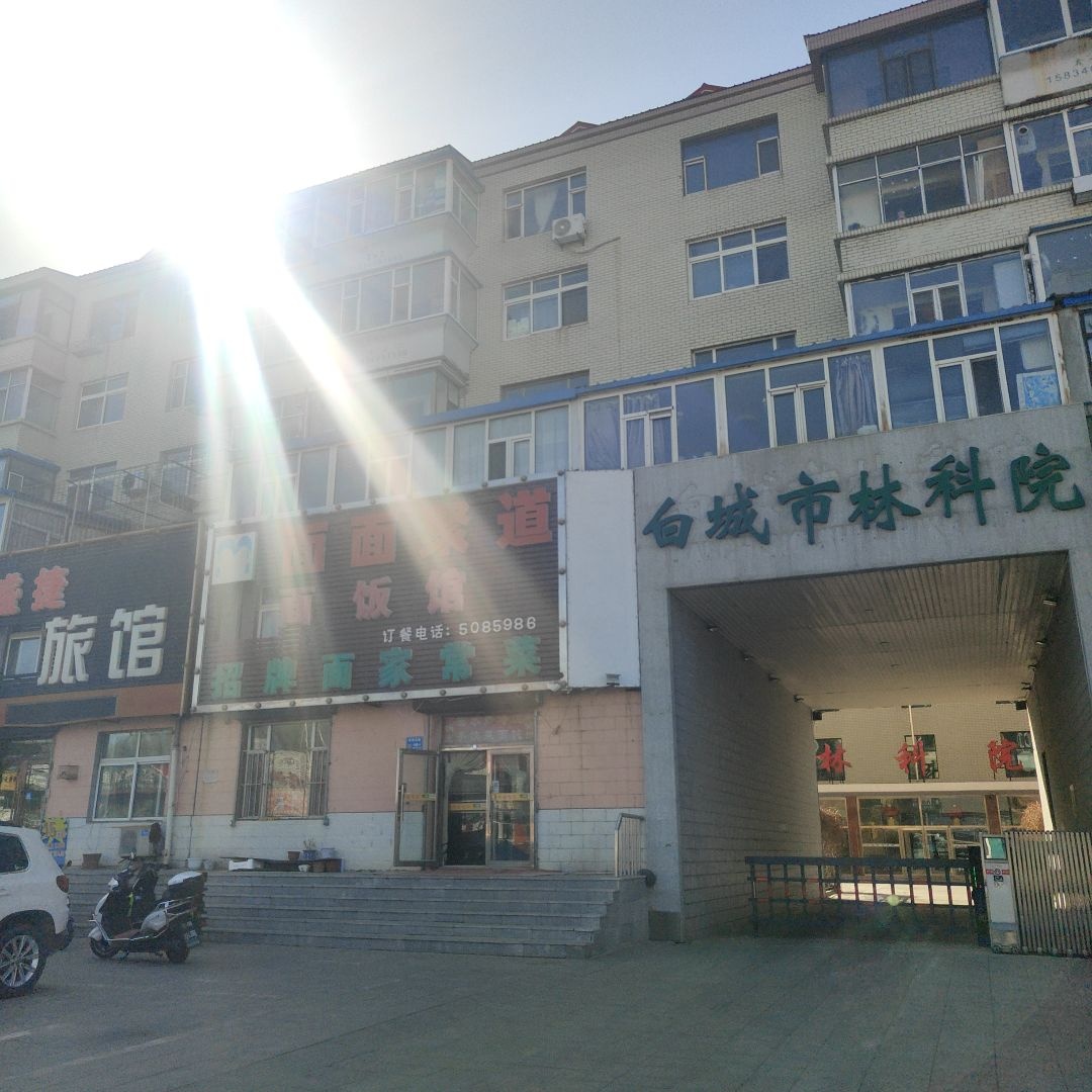白城市林科院