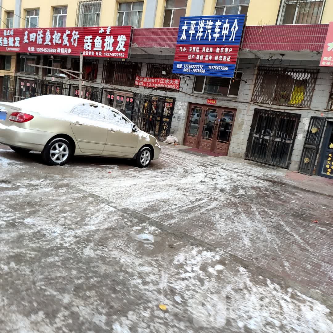 小董活鱼批发