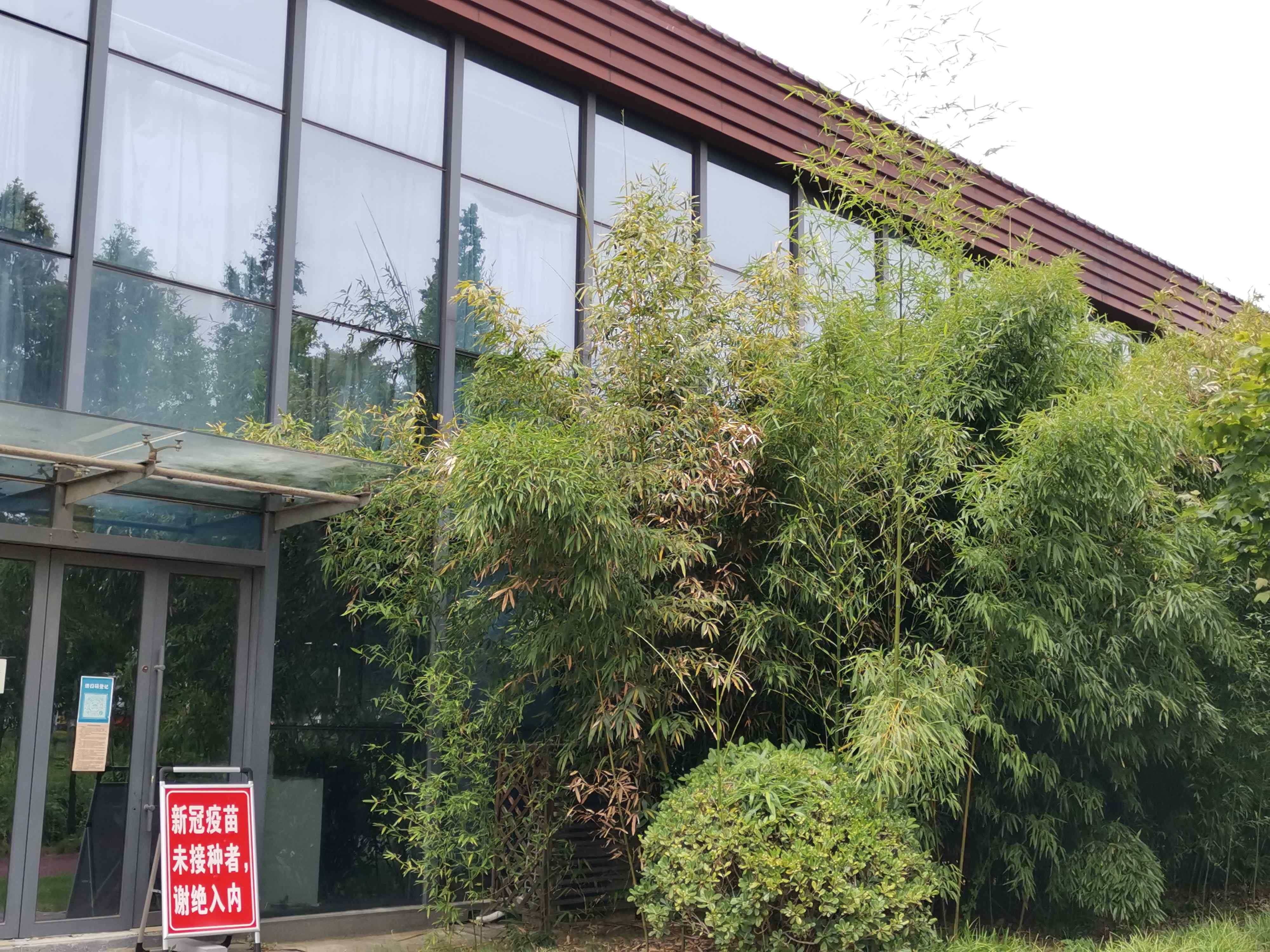 蒋王师姑塔体育休闲公园-室内羽毛球场