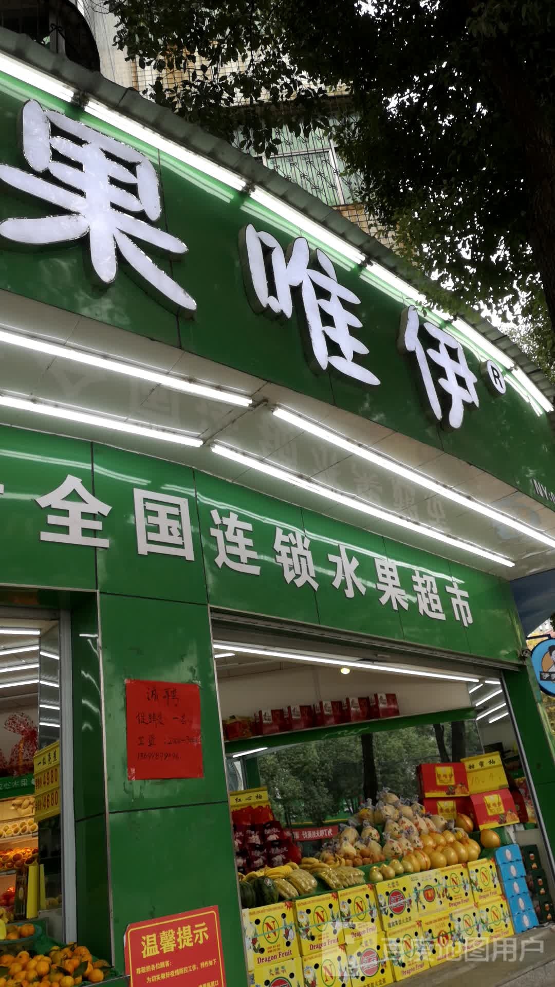 息县果唯伊(土地局店)