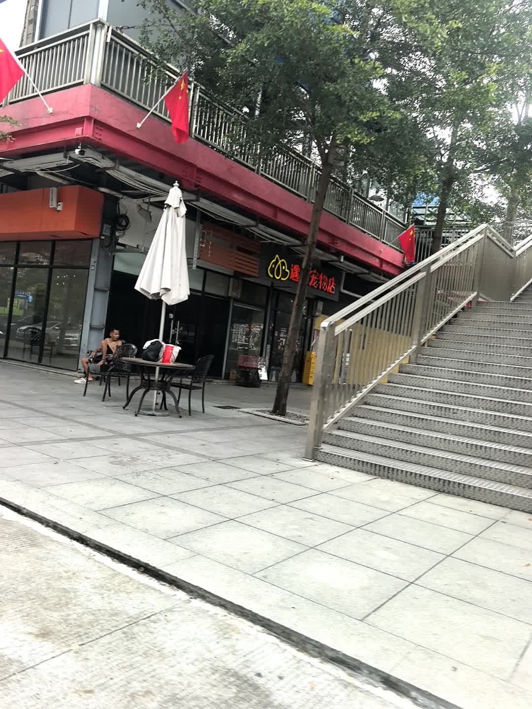 遇见宠物店(杏坛店)