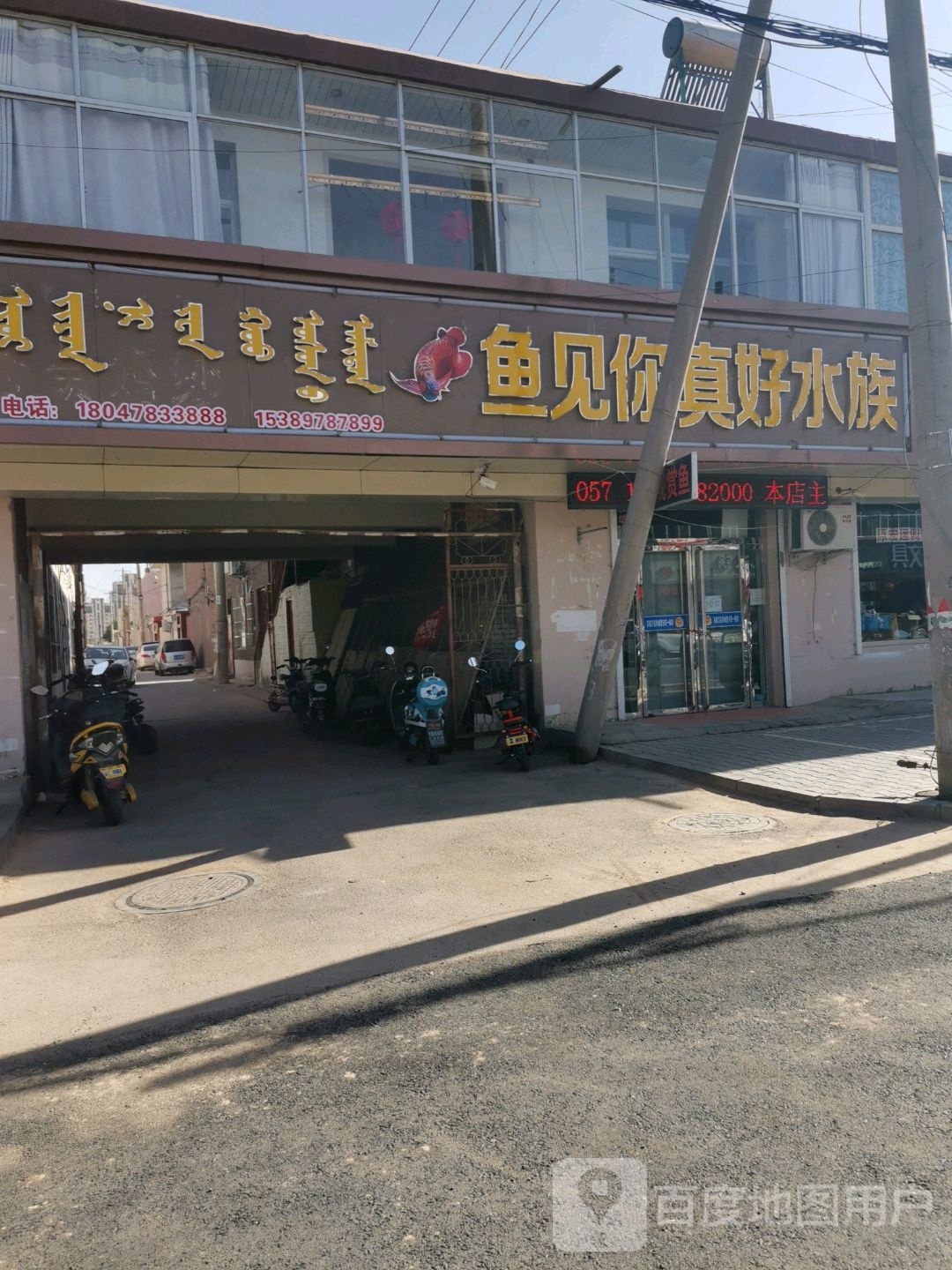 鱼见你真好水族