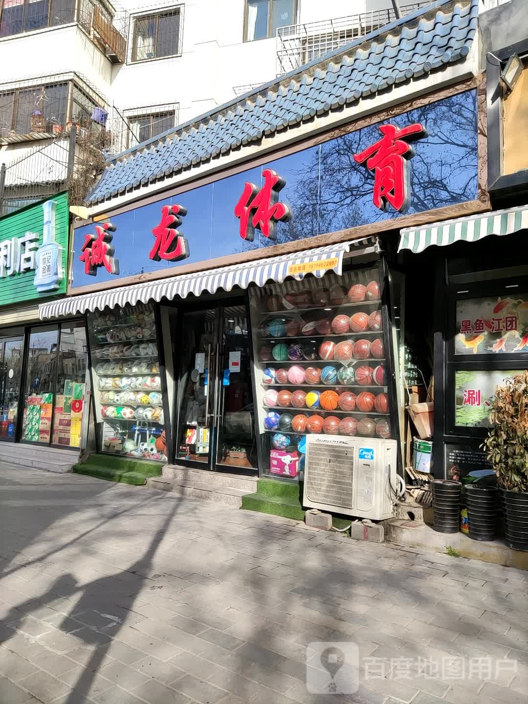 诚龙体育