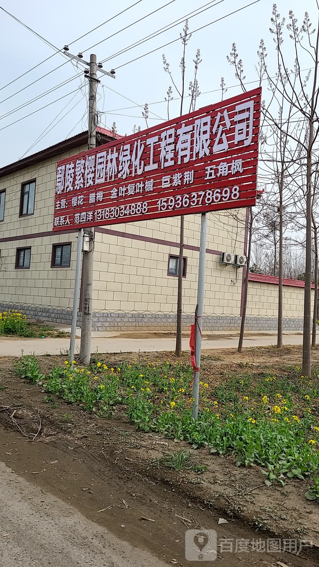 鄢陵繁樱园林绿化工程有限公司