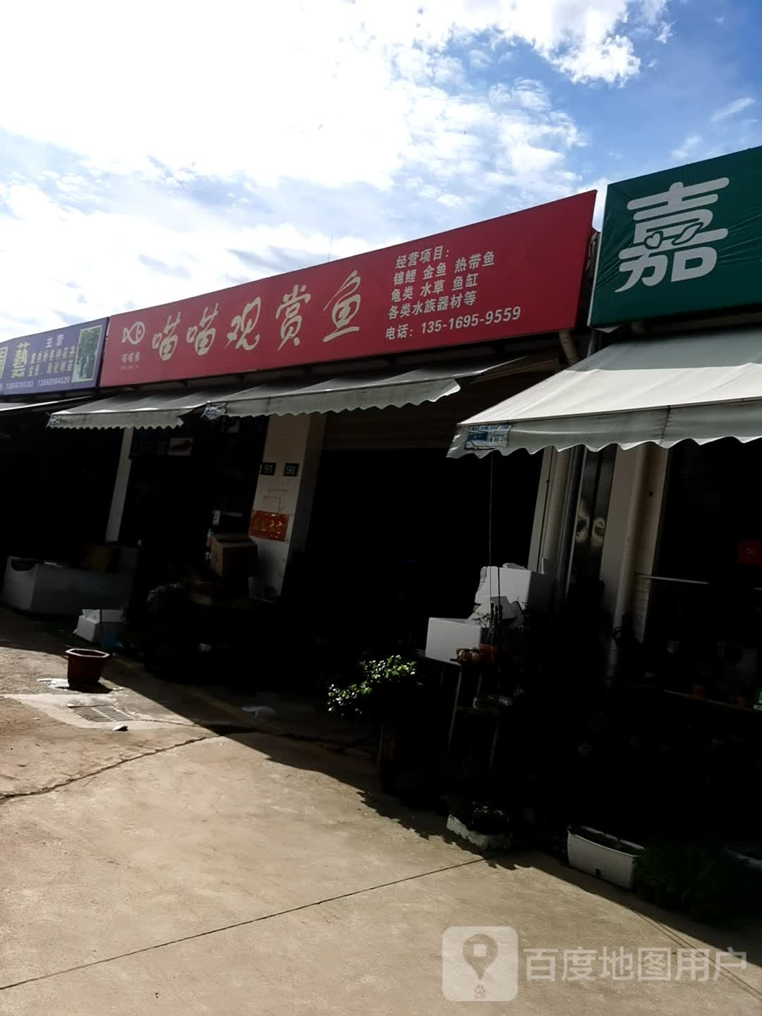 喵喵观赏鱼店