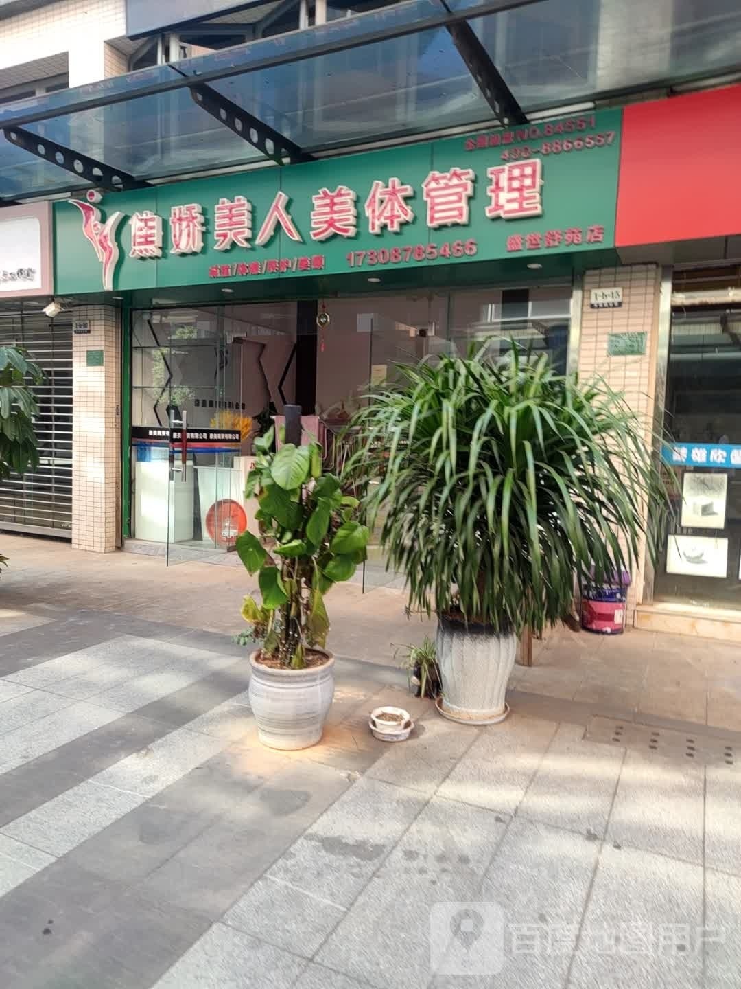 焦娇美人美体管理(盛世舒苑店)