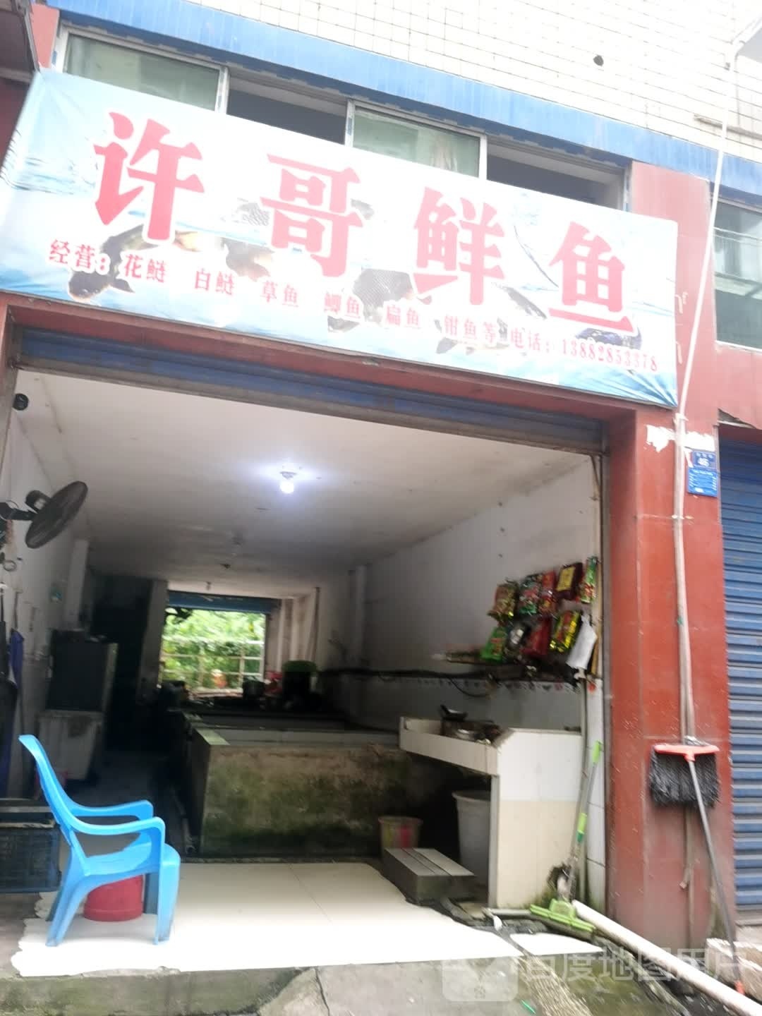许哥鲜鱼