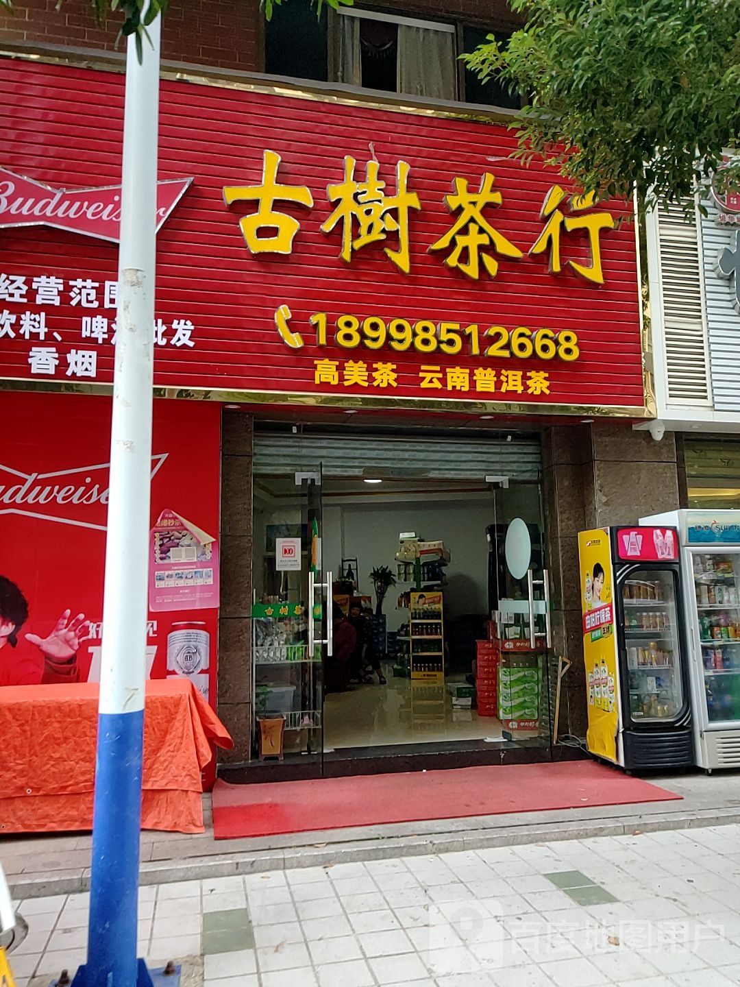 古树茶行