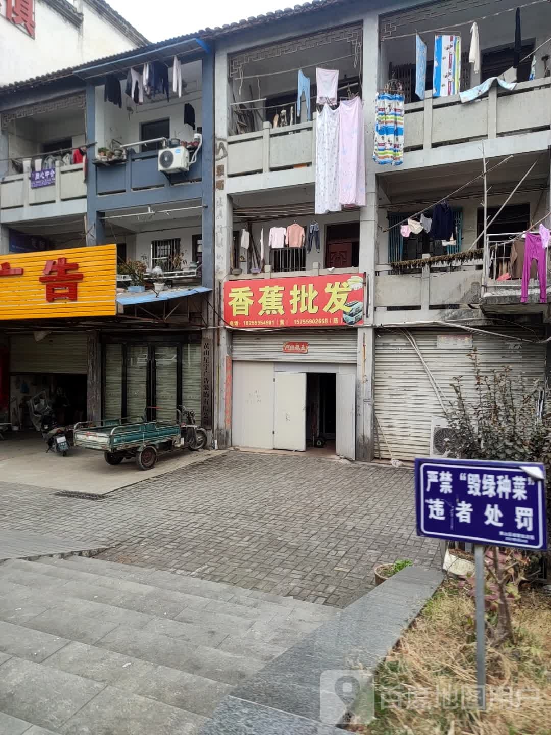 小黄香蕉批发