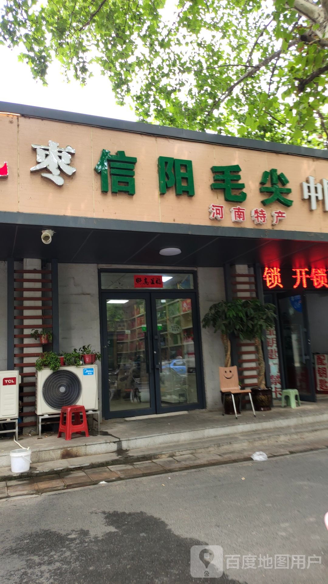 豫之南信阳毛尖(东明路店)