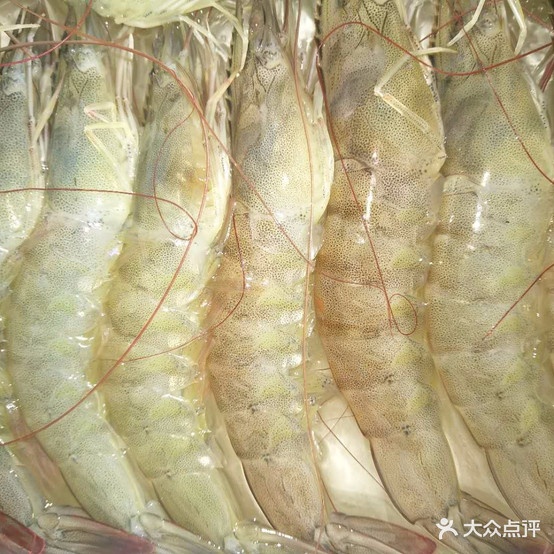 南海弯海鲜