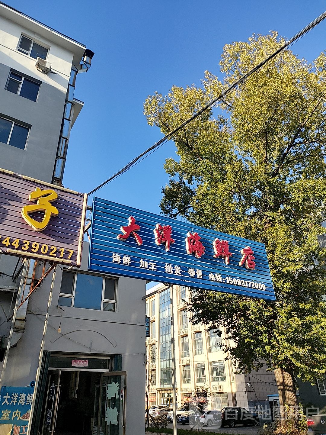 大洋海鲜店