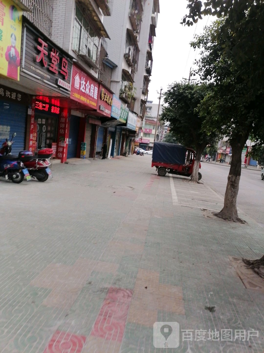 天堂鸟数码音乐场所