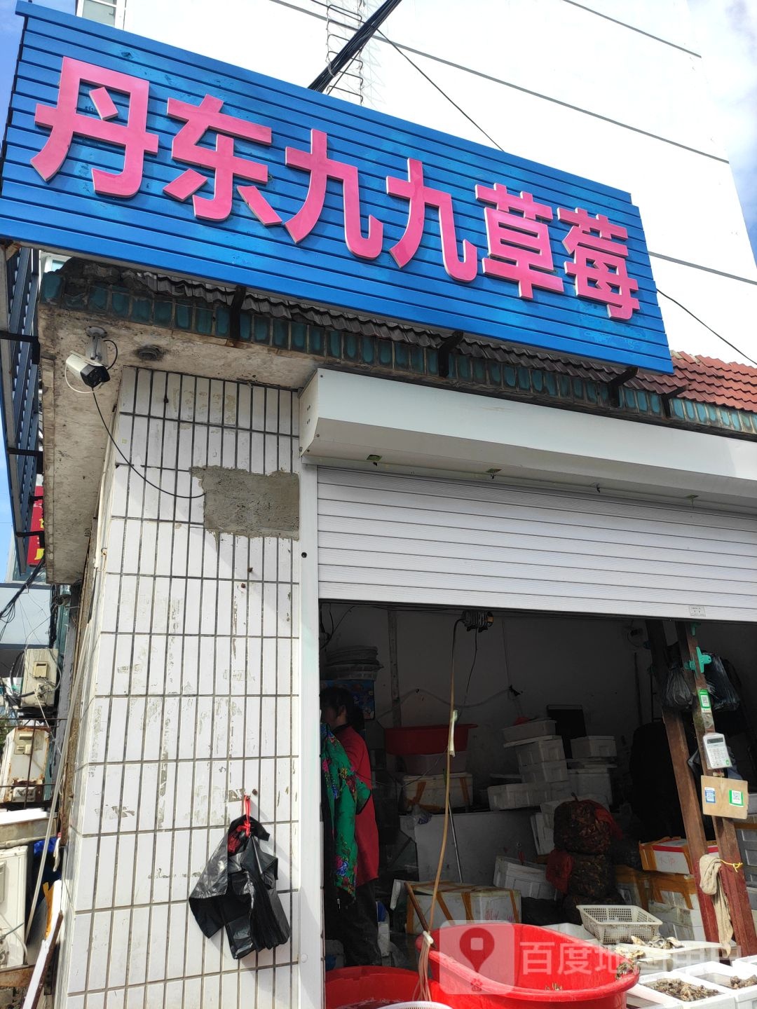 日东九九草莓