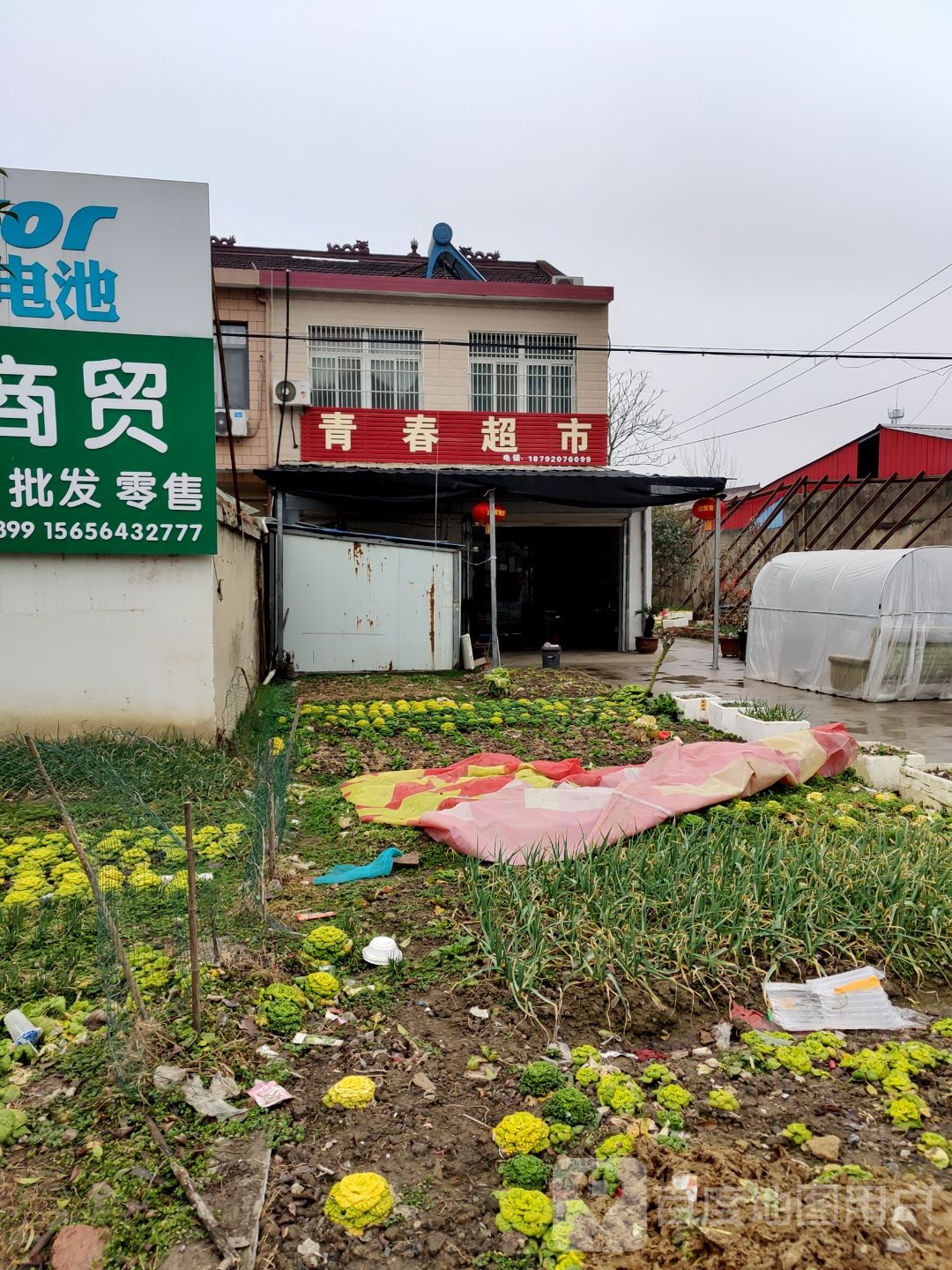 亲春超市(S310店)
