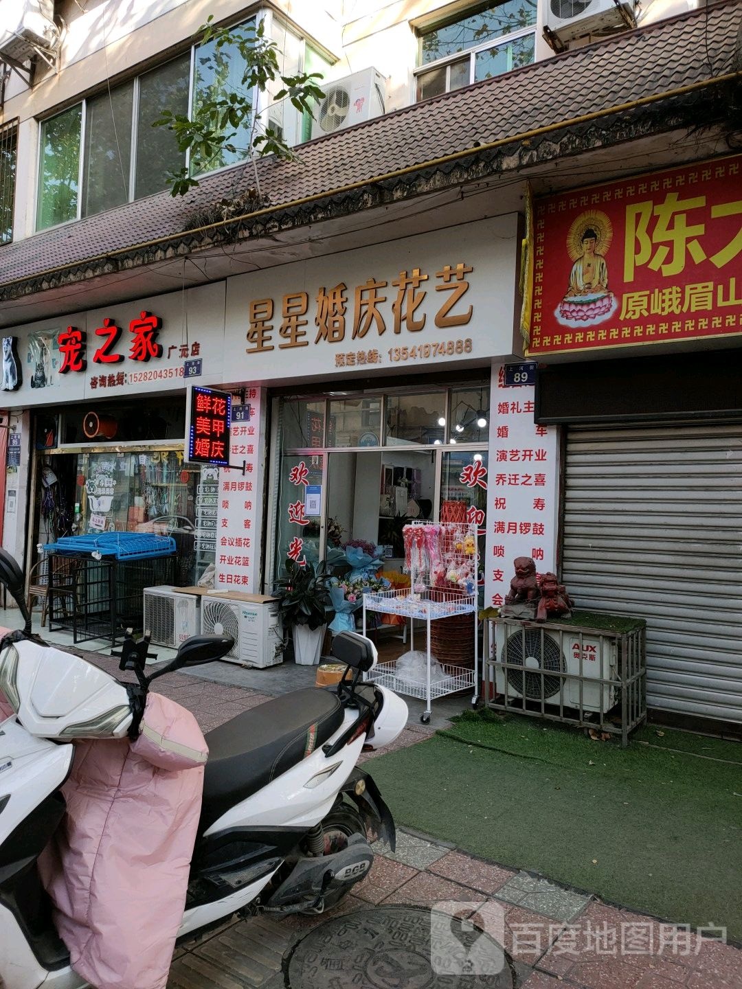 宠之家(广元店)