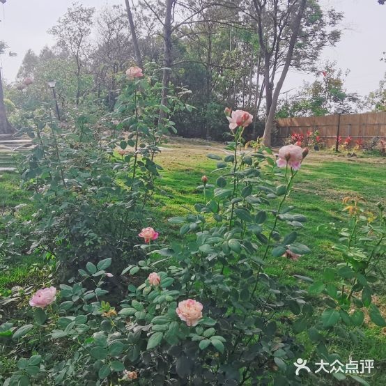初见时光休闲餐吧(露天矿生态公园店)