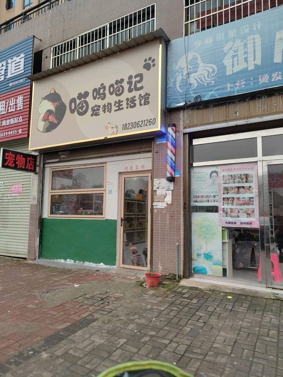 喵呜喵记宠物生活馆