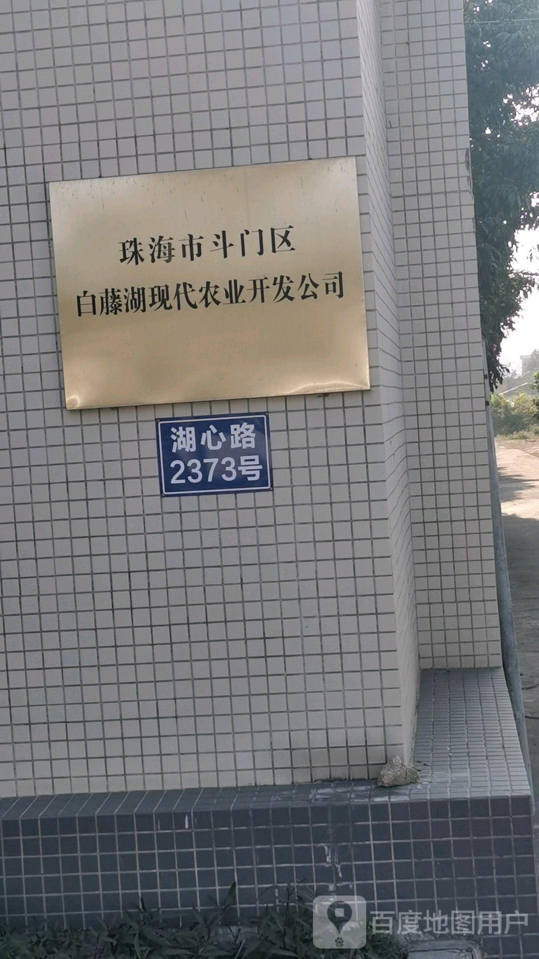 珠海市斗门区白藤湖现代农业开发公司