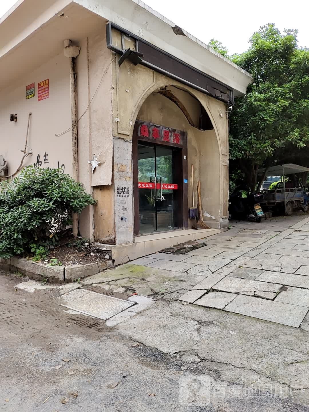 桑拿足鱼