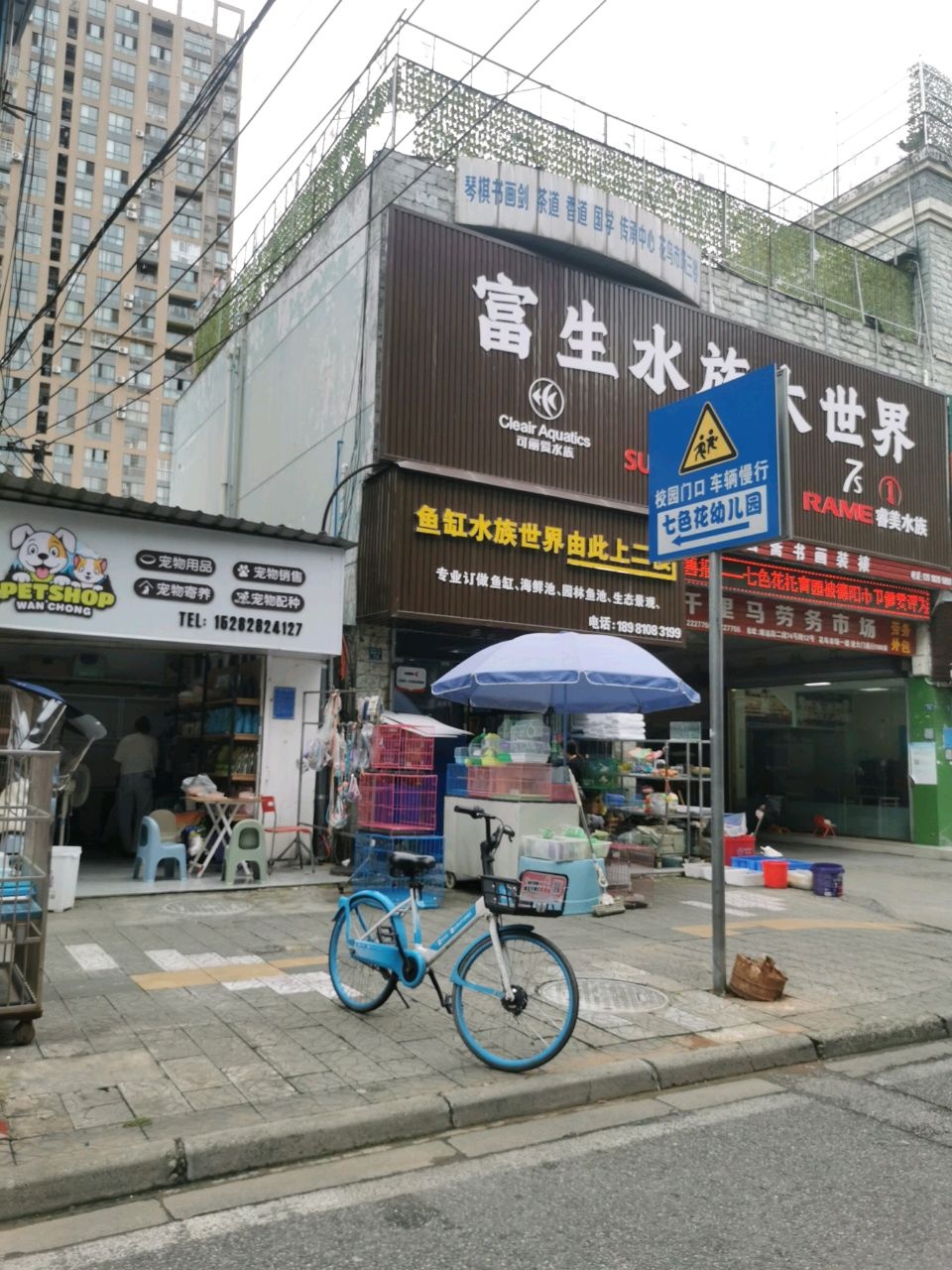 鱼缸水族世界