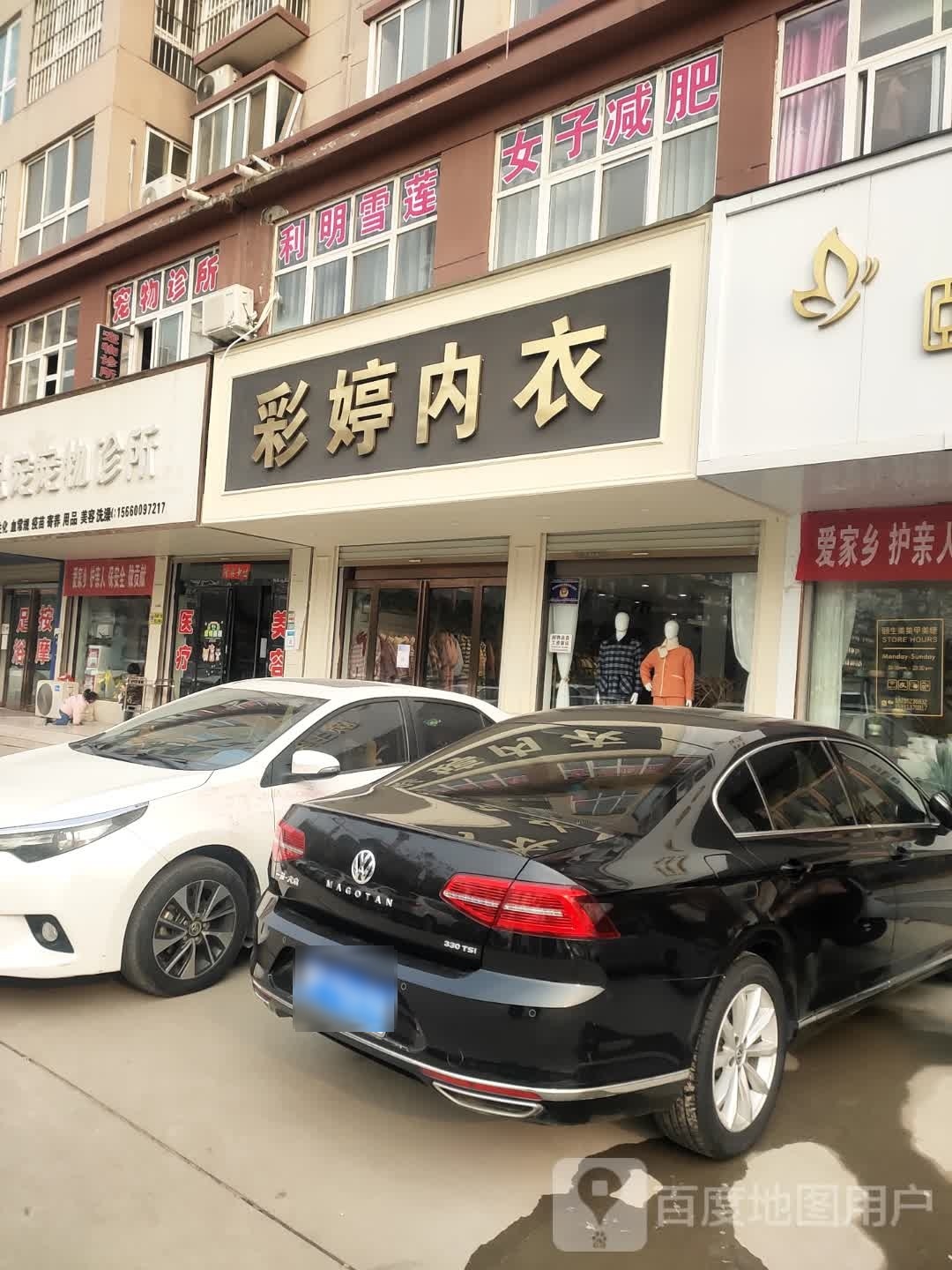 商水县彩婷内衣(公园路店)