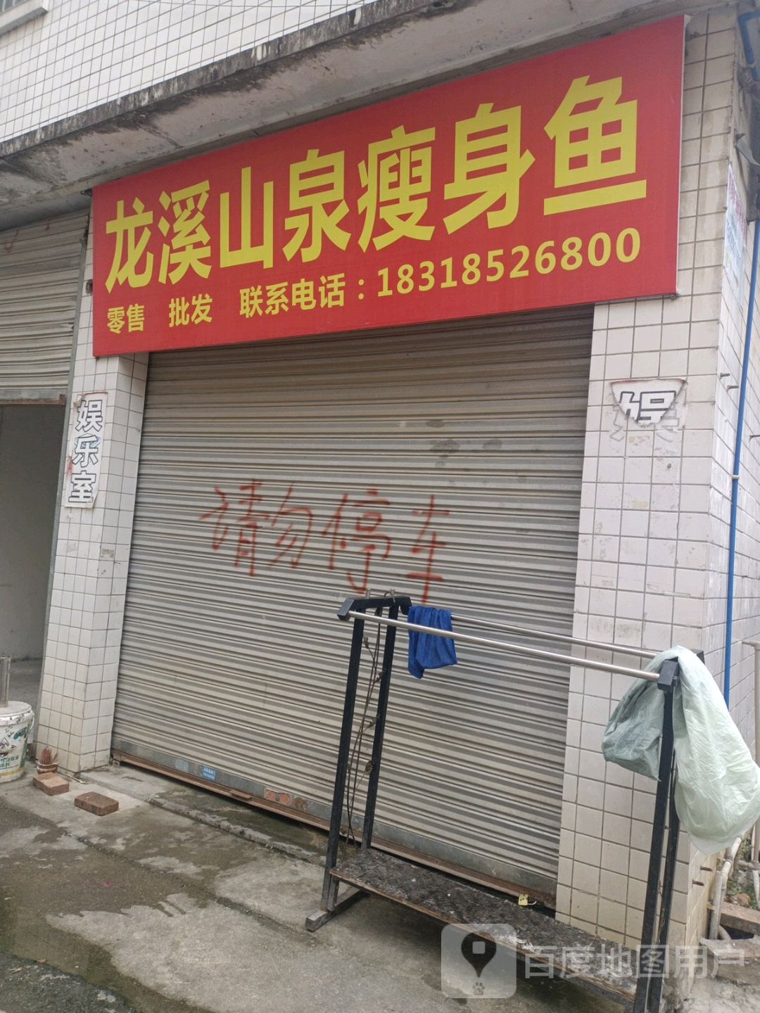 灰溪山泉瘦身鱼