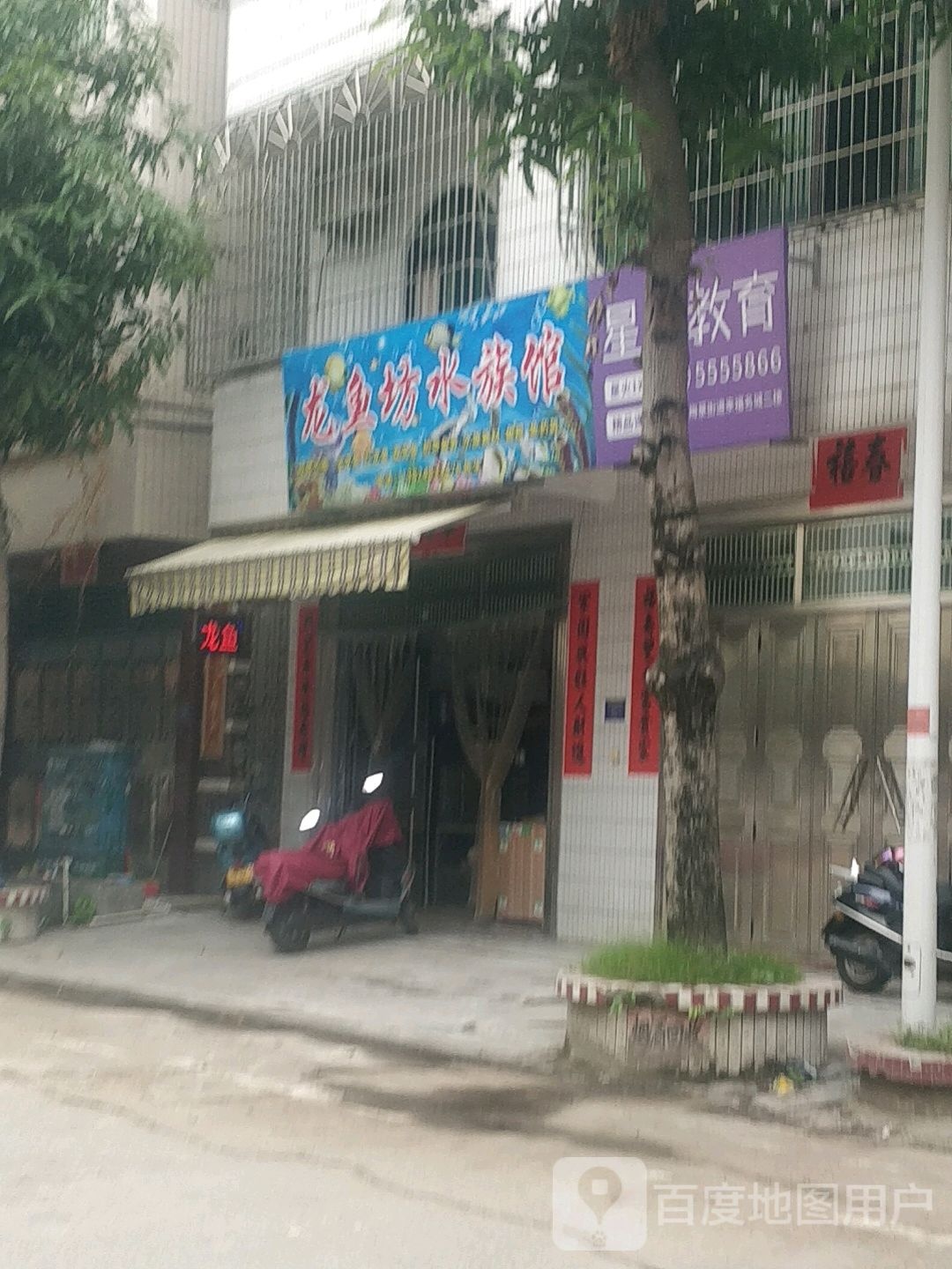 龙鱼坊水族馆