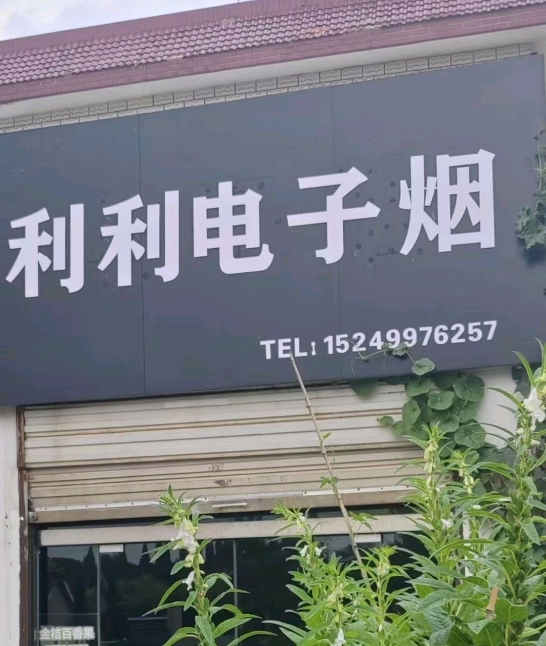 利利电子烟