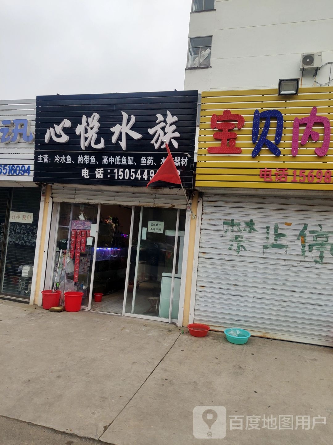 心悦水族