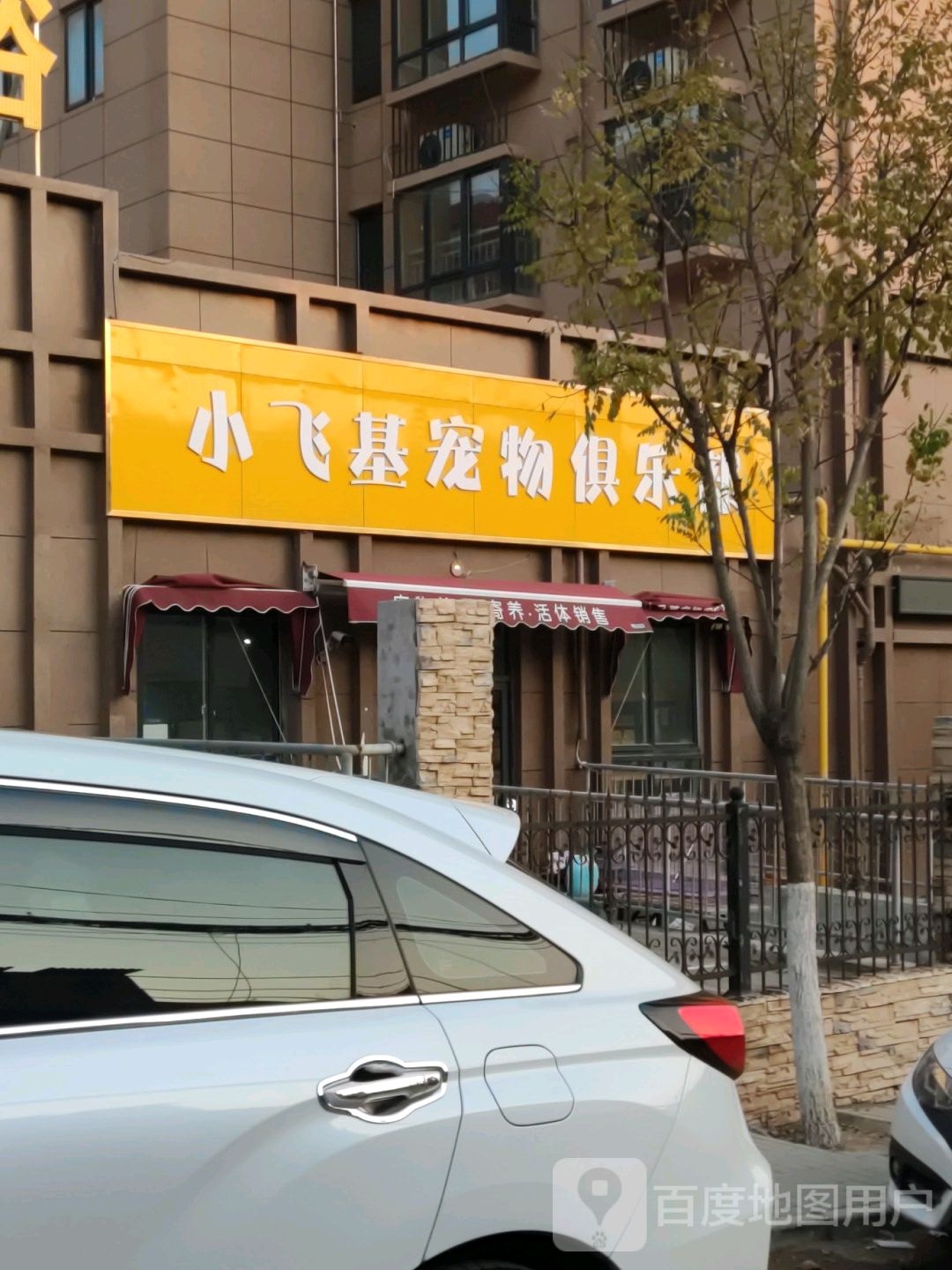 小飞基宠物俱乐部(利民巷店)