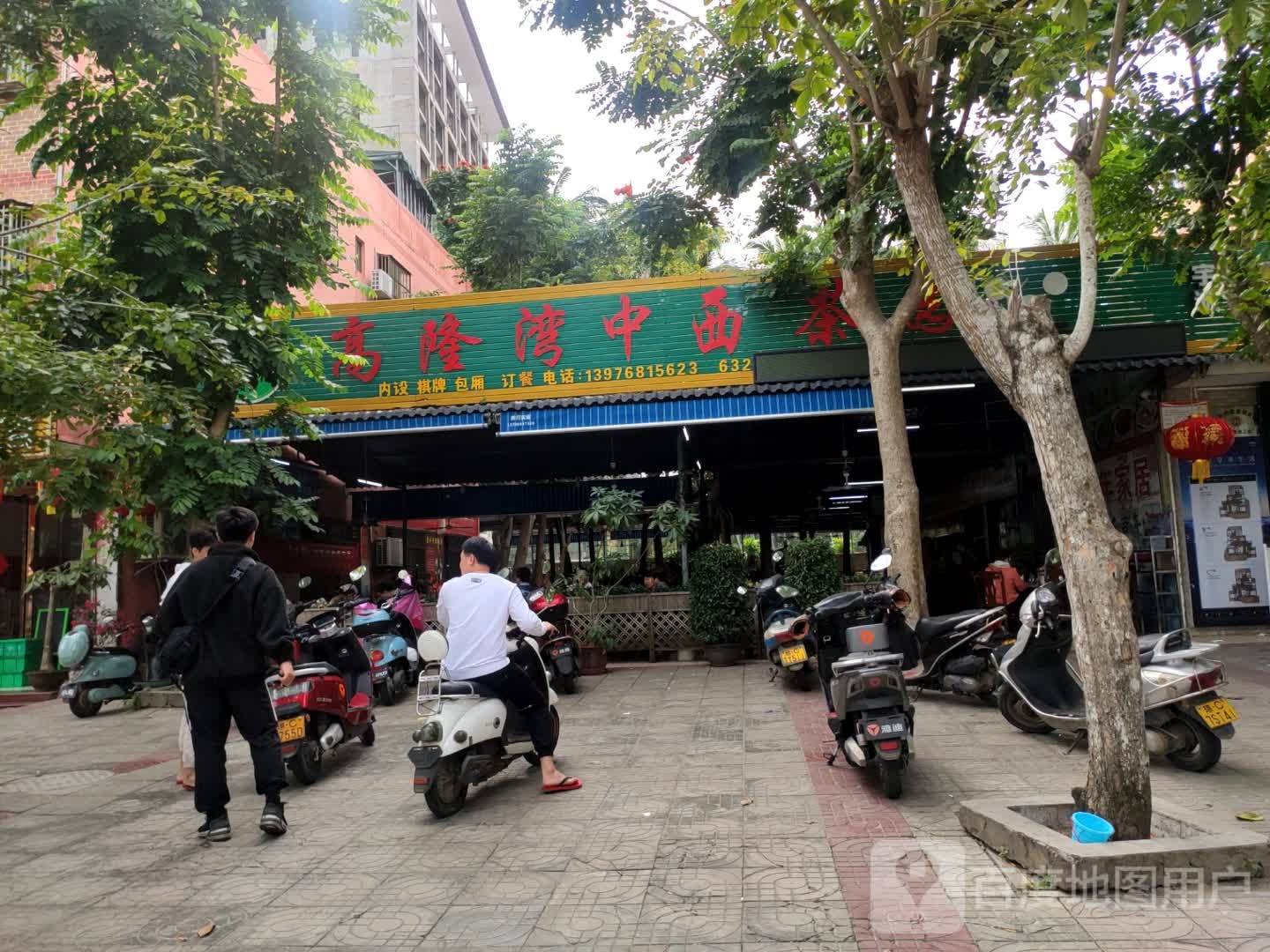 高隆湾中西茶园