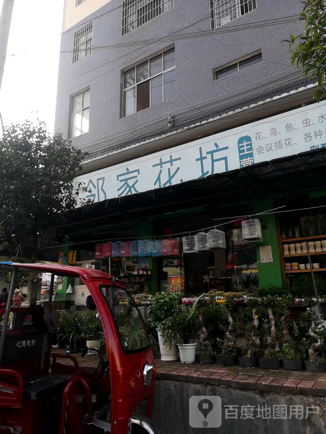 邻家花坊(鸟虫街店)