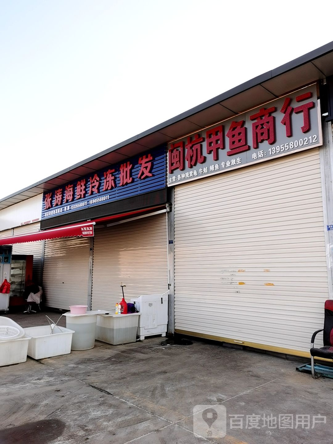 张涛海先冷冻批发