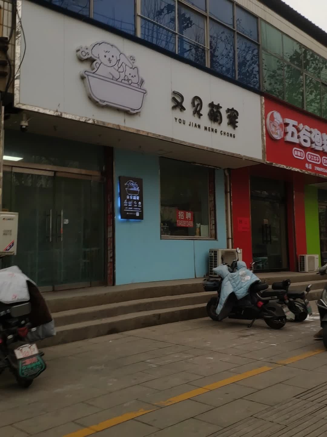 稷山县稷峰镇又见萌宠宠物店