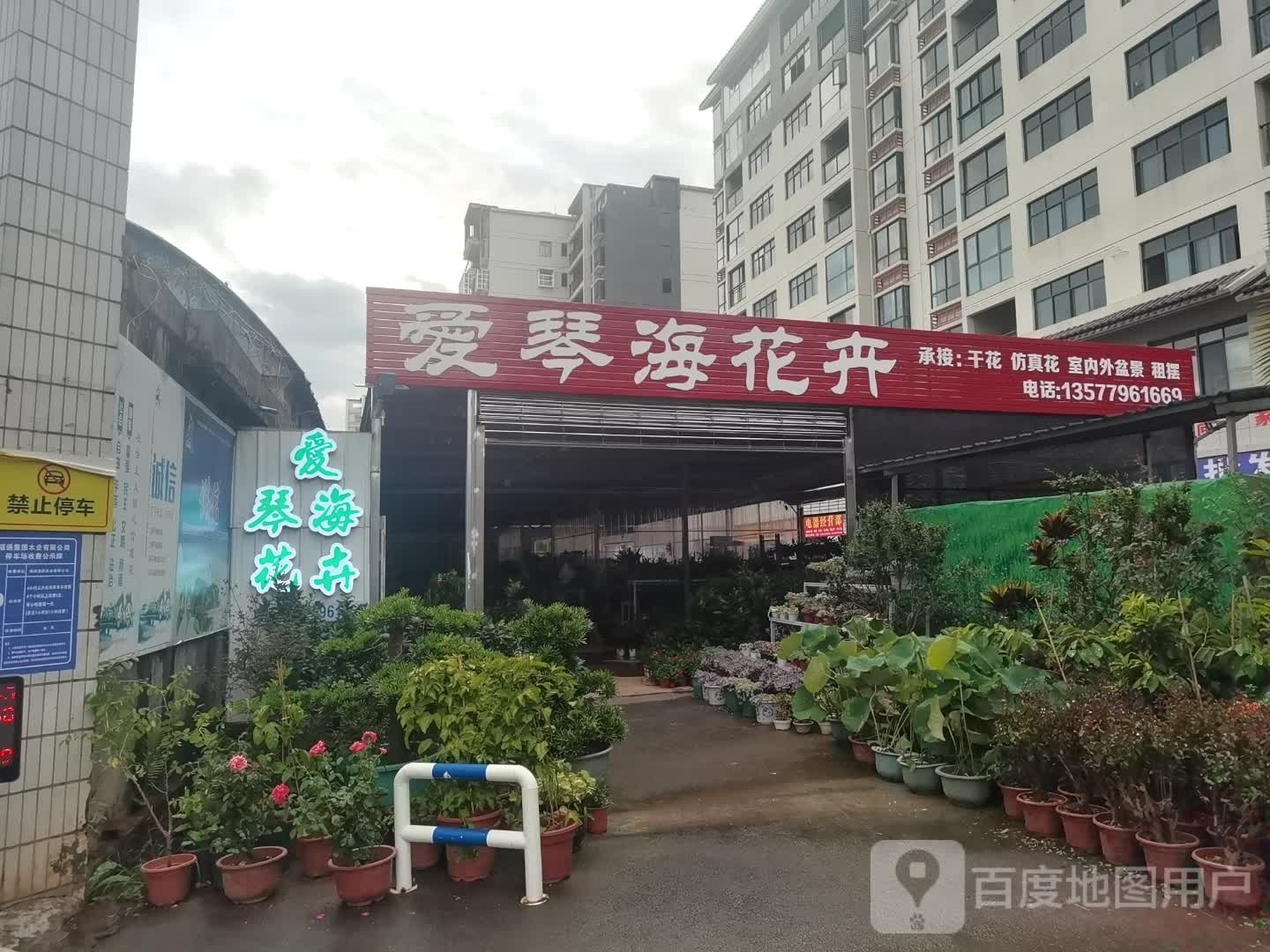 爱琴海花卉