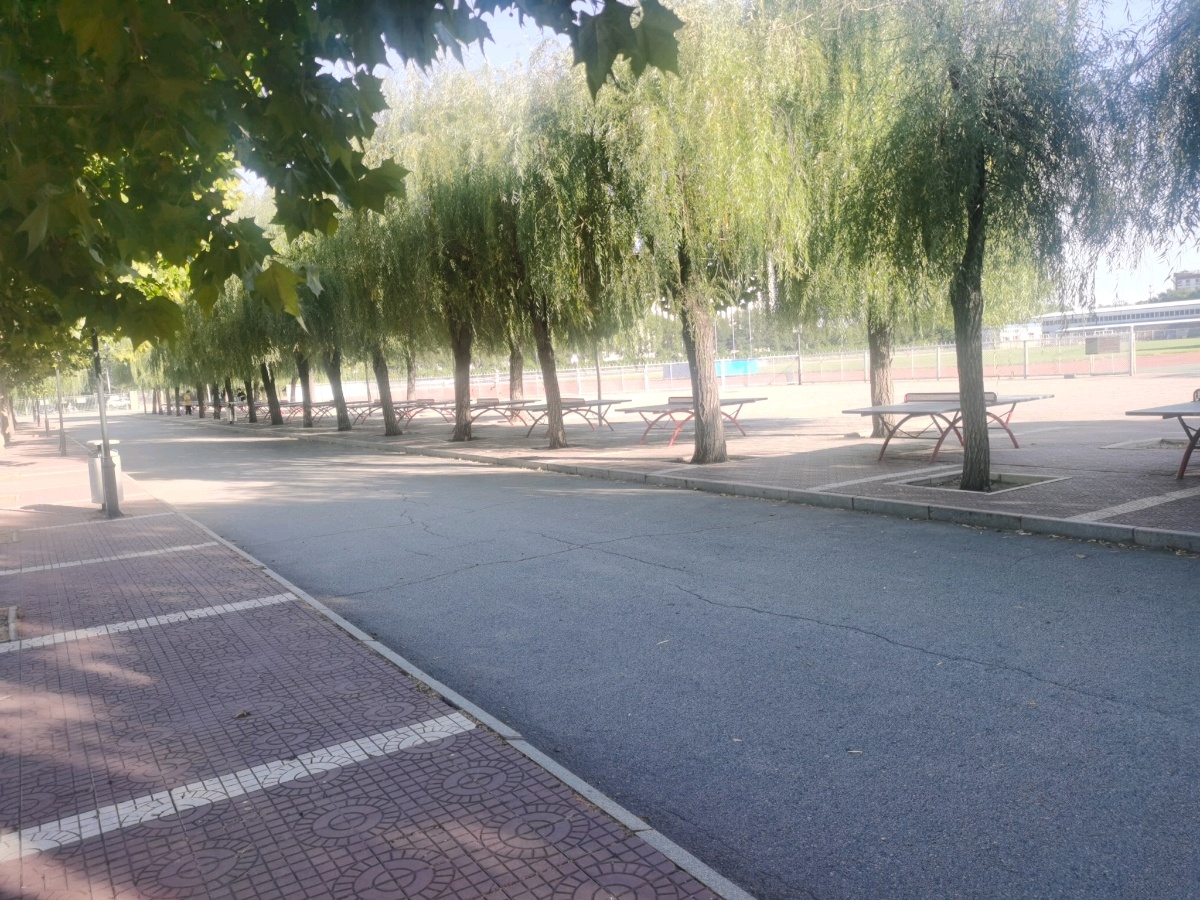河北农业大学-乒乓球场