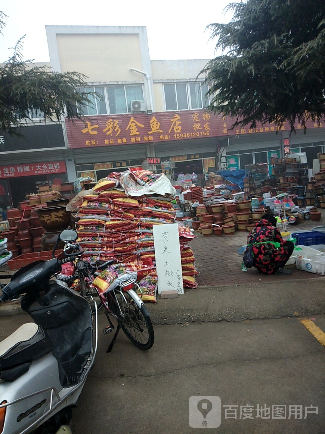 宛城区溧河乡七彩金鱼店