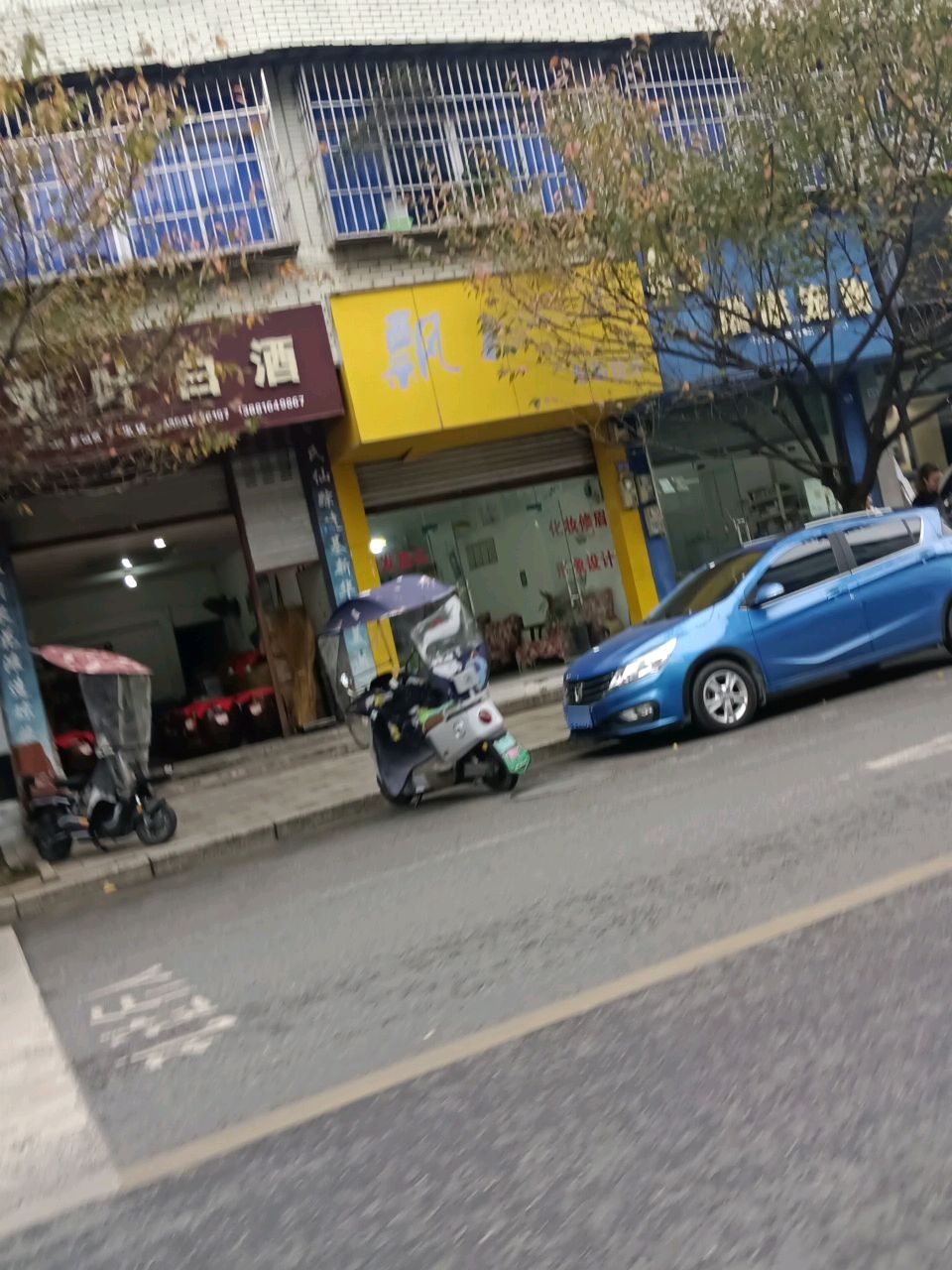 瑞康宠物