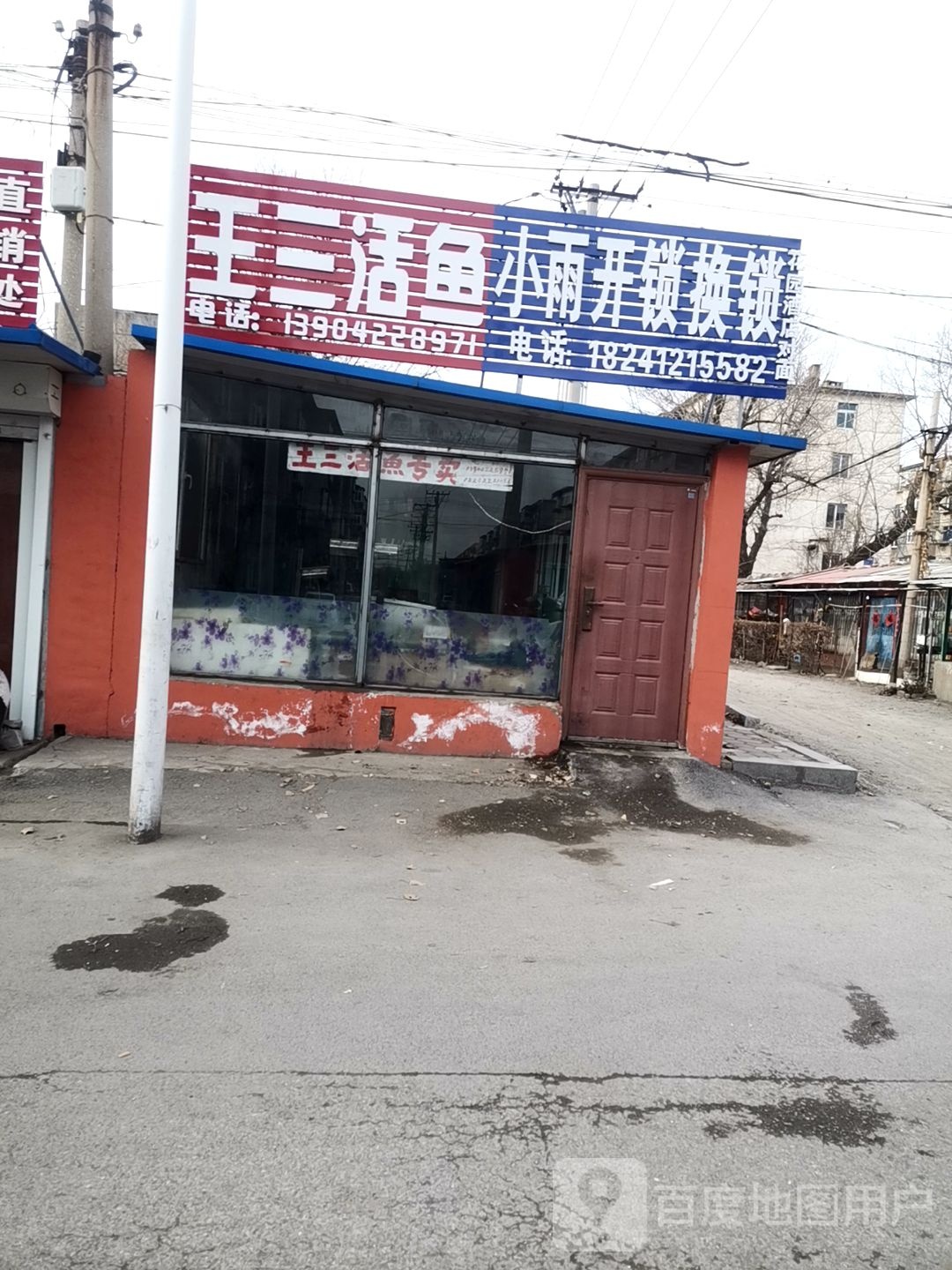 王三活鱼