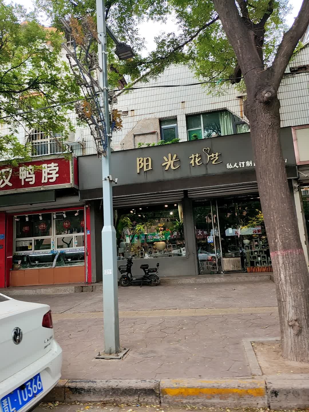 阳光花艺(浍滨街店)