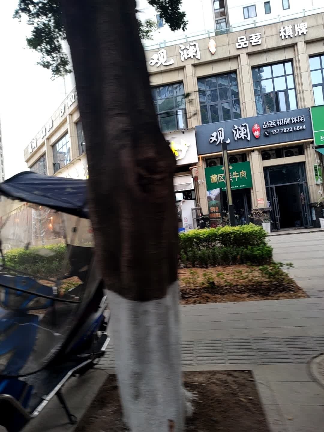 观澜品茗棋牌