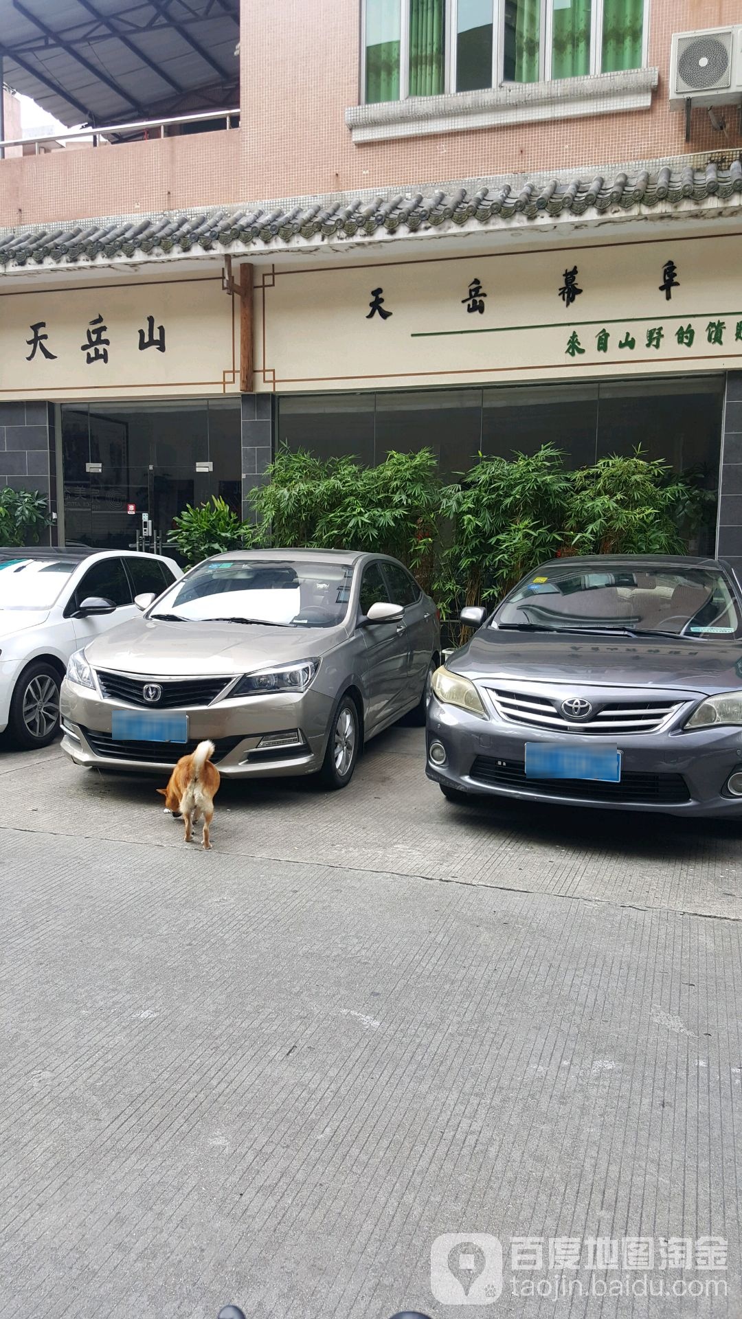 天岳山(火炼树金晖苑住宅区店)