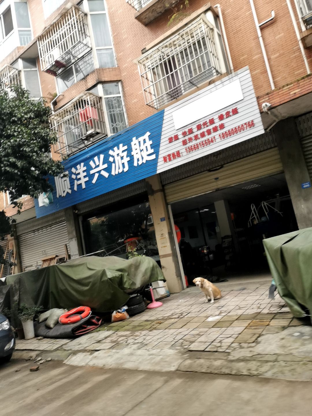 顺洋兴游艇