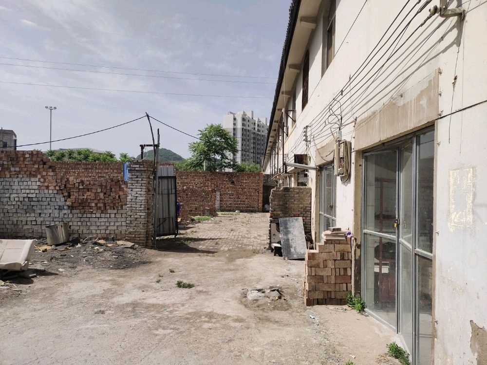 魏战洪高价废品回收