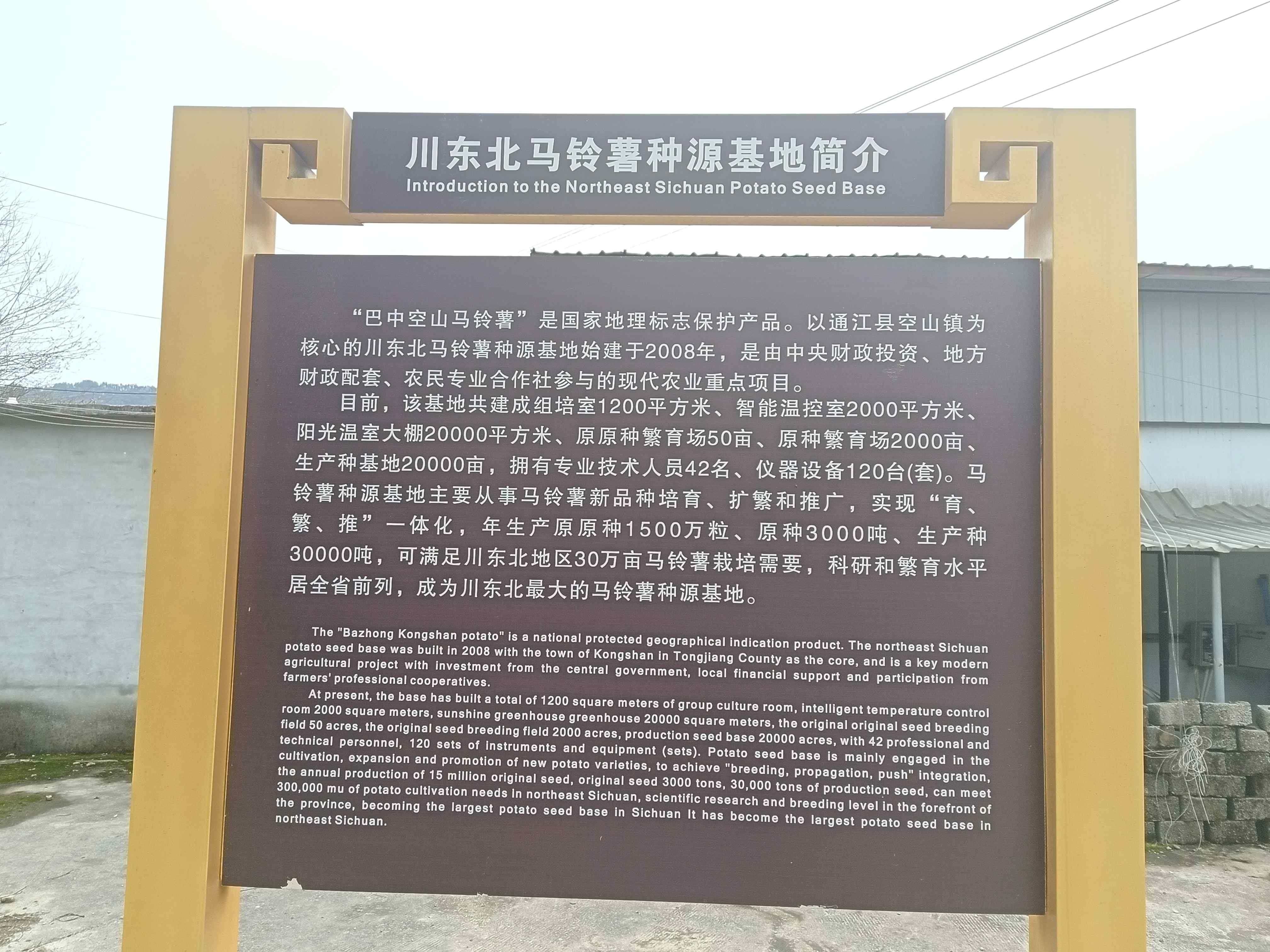 川东北马铃薯种源基地